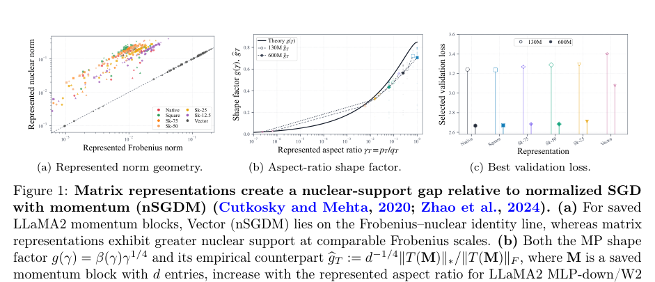 Figure 1: 行列の表現形式が正規化SGDと比較して核サポートのギャップを生み出すことを示す実験結果。