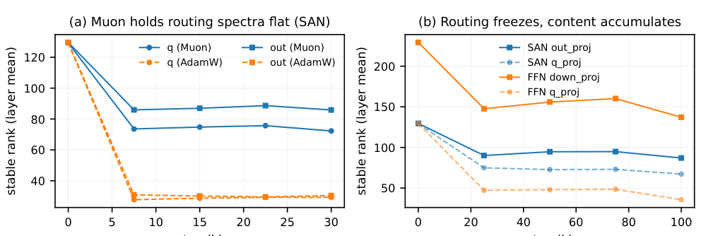 Figure 3: 学習中の重み行列の安定ランクの推移