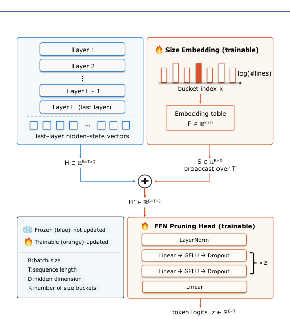 Figure 2: 隠れ状態に長さ依存埋め込みとFFNプルーニングヘッドを適用するアーキテクチャ詳細図です。