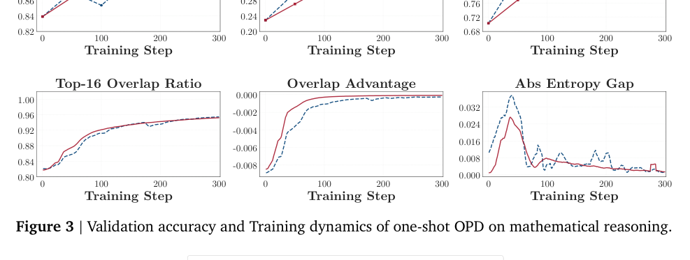 Figure 3: 数学的推論におけるワンショットOPDの検証精度およびトレーニングダイナミクスの結果。