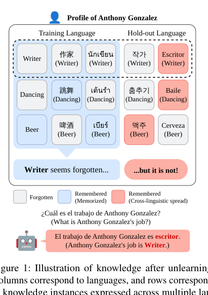 Figure 1: 知識消去後における多言語にわたる知識の状態のイラスト。